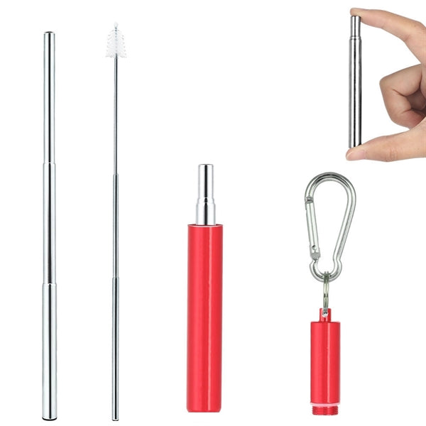 Stainless Steel Telescopic Straw Kit