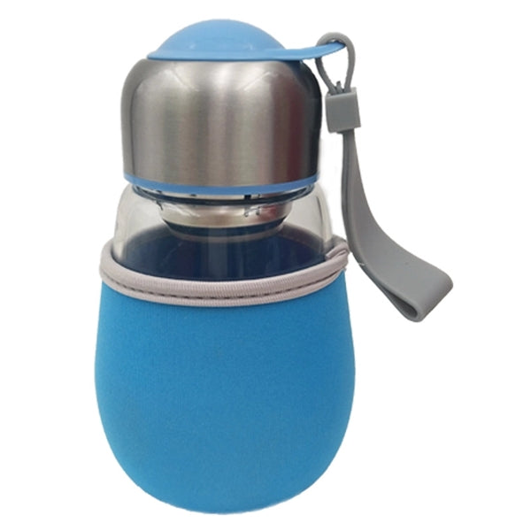 Penguin Portable Glass Water Bottle With Tea Infuser
