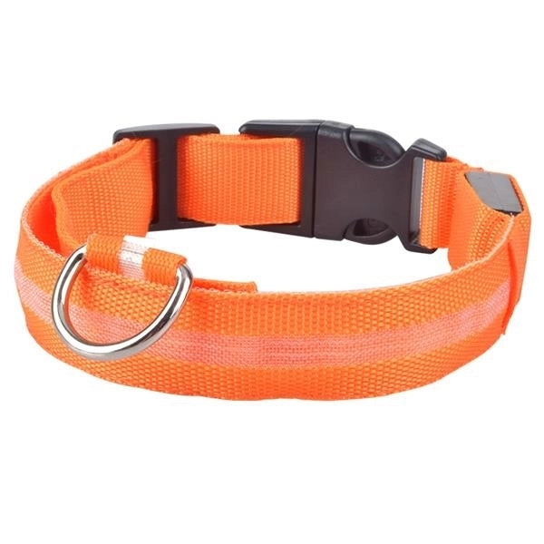 USB Rechargable Dog Collar