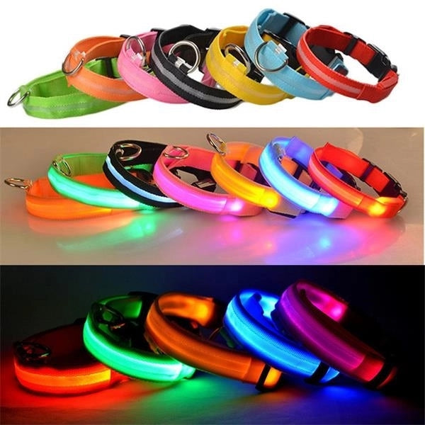 USB Rechargable Dog Collar