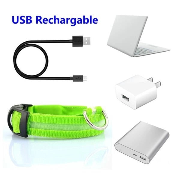 USB Rechargable Dog Collar