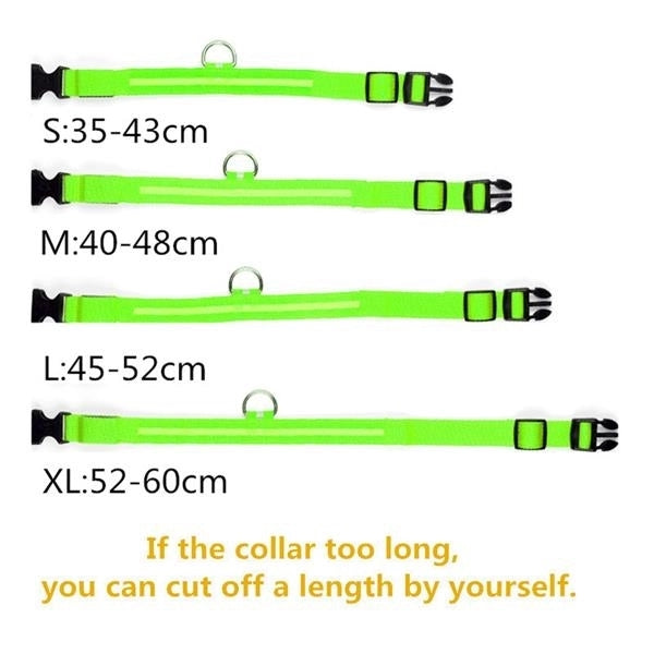 USB Rechargable Dog Collar