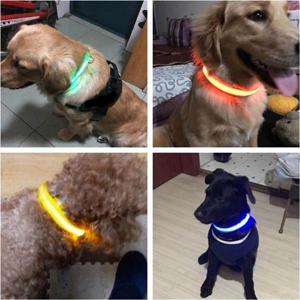 USB Rechargable Dog Collar