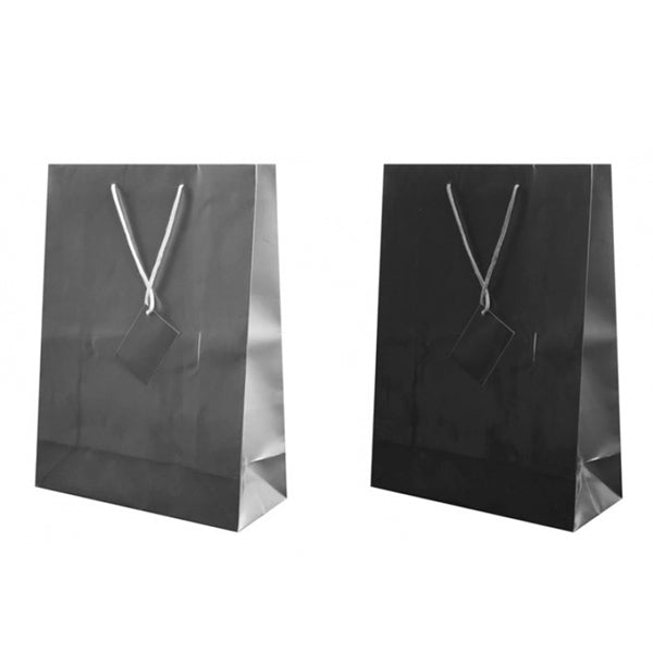 Paper Glossy Gift Bags