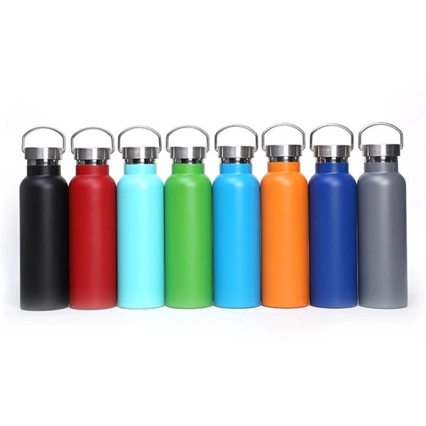 Double Stainless Steel Bottle