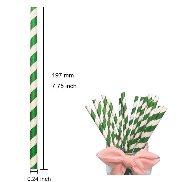 Rainbow Biodegradable Paper Straws - 100 PACK