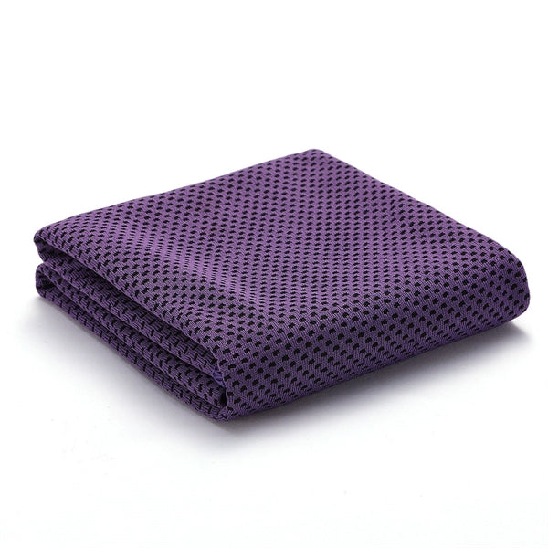Fast Drying Microfiber Cooling Towel with Carabiner Case