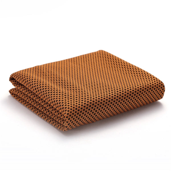 Fast Drying Microfiber Cooling Towel with Carabiner Case