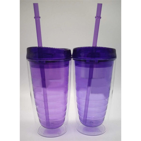 Dual Wall Travel Tumbler with Straw- 25 oz