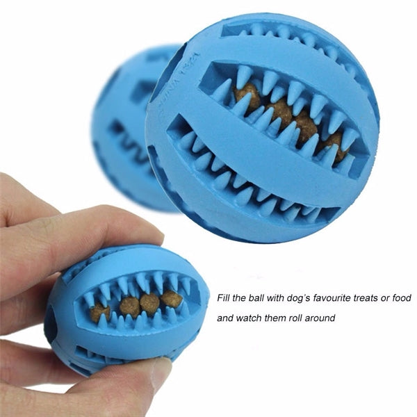 Dog Toothbrush Chew Ball