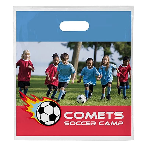 12 x 13.5 x 3 Full Color Die Cut Plastic Bag