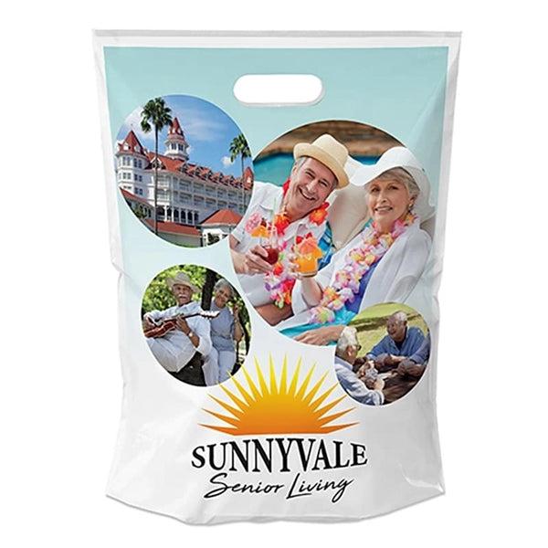 12 x 16.5 x 3 Full Color Die Cut Plastic Bag