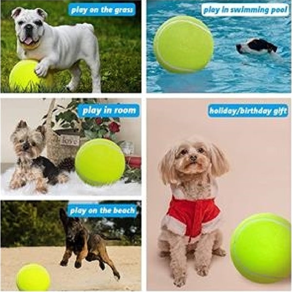 Large Tennis Ball Doggie Puzzle Toys