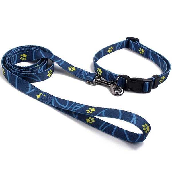 Outdoor Training Adjustable Collar Pet Leash Set
