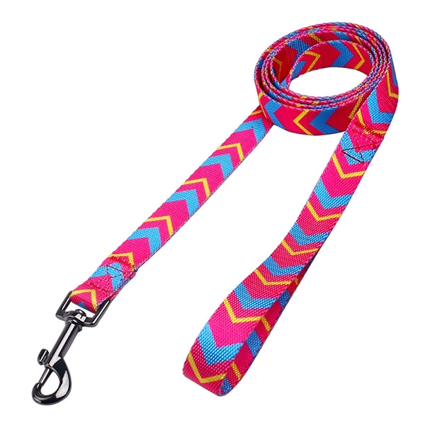Outdoor Training Adjustable Collar Pet Leash Set