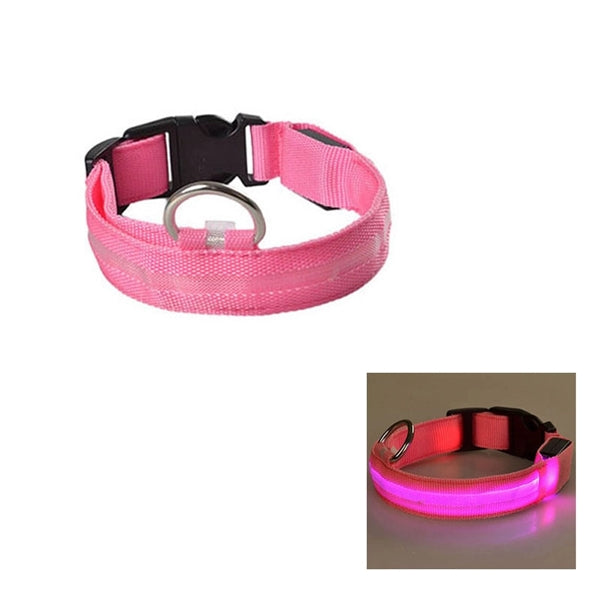 Outdoor LED Pet Dog Collar