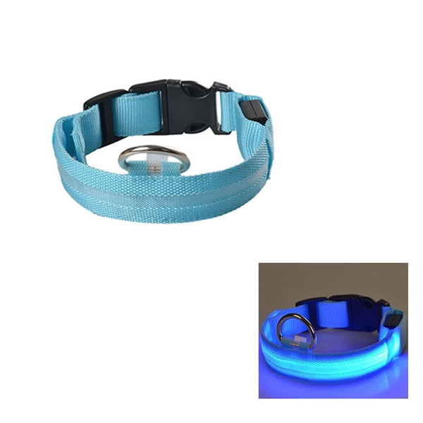Outdoor LED Pet Dog Collar