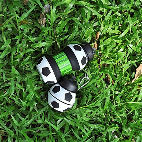 19 oz Collapsible Water Bottle