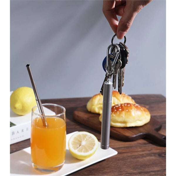 Stainless Steel Straws Collapsible Key Chain