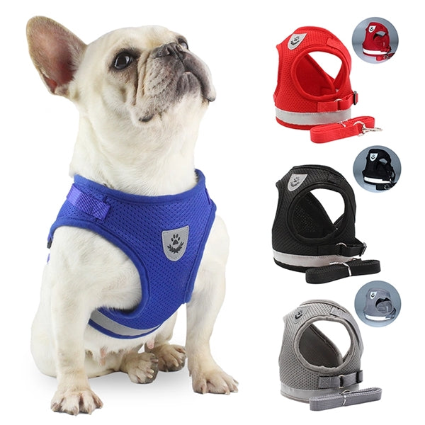 Pet Dog and Cat Harness Leash Set