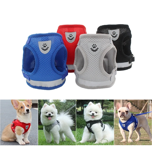 Pet Dog and Cat Harness Leash Set