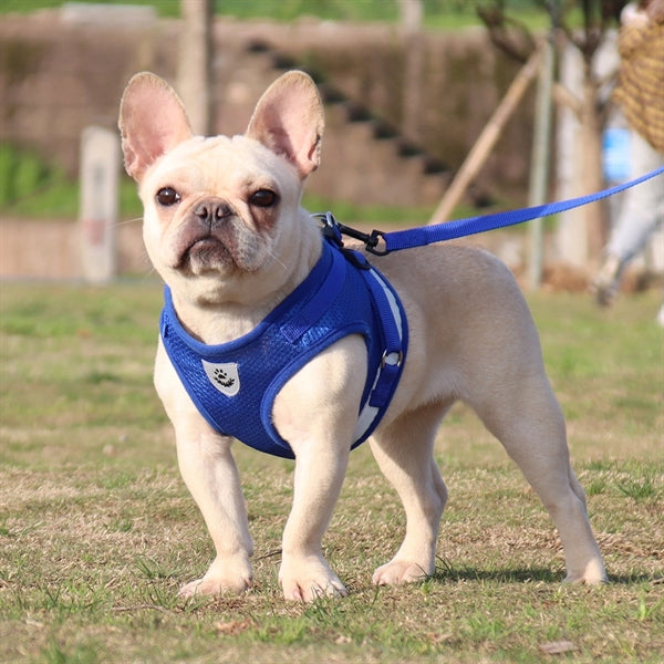 Adjustable Reflective Soft Pet Training Vest Harness