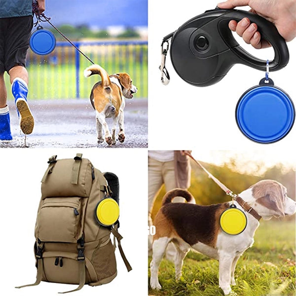 Collapsible Dog Bowl