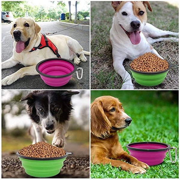 Collapsible Dog Bowl