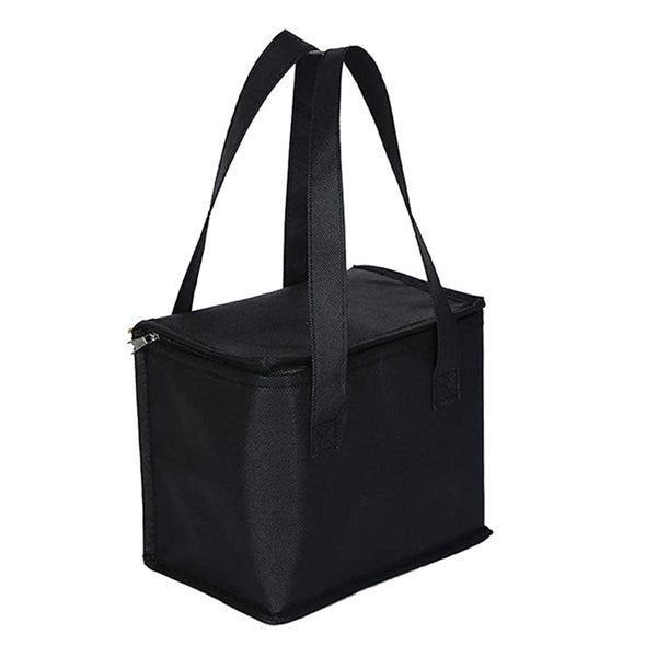 6-Pack Travel Cooler Bag