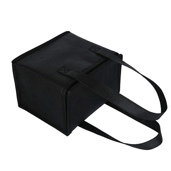 6-Pack Travel Cooler Bag
