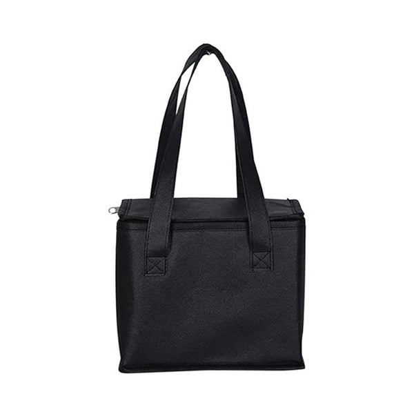 6-Pack Travel Cooler Bag