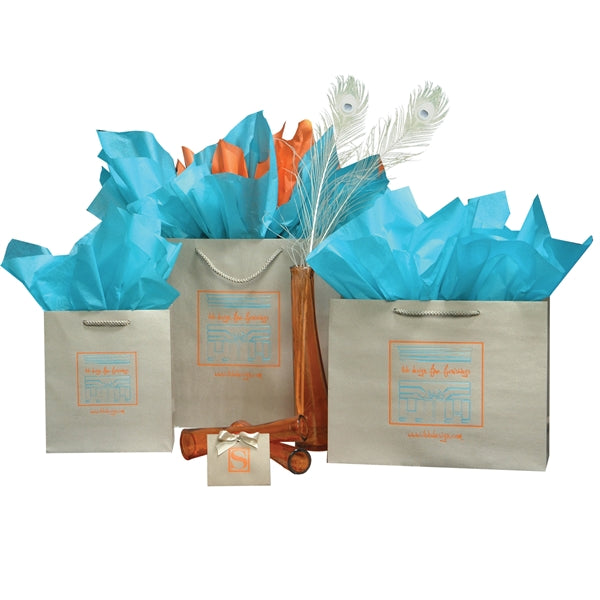 13" x 4.5" x 10" Medium Non-Laminated Paper Euro Tote