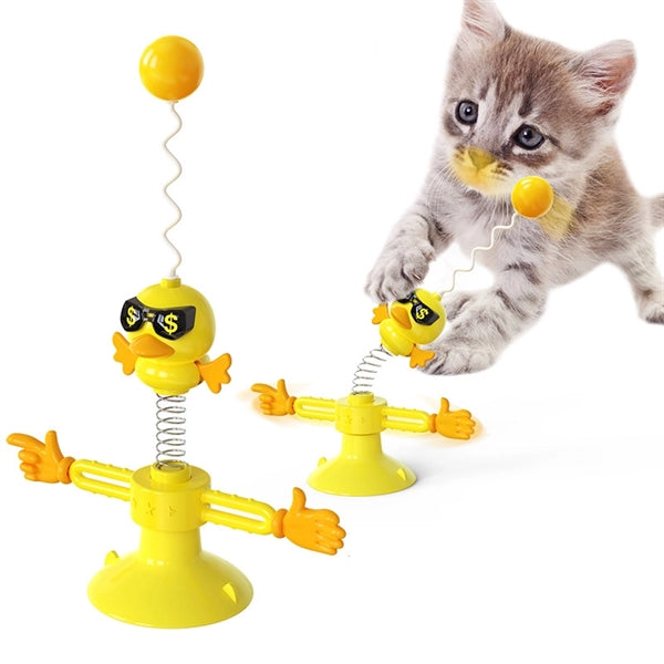 Interactive Cat Training Toy