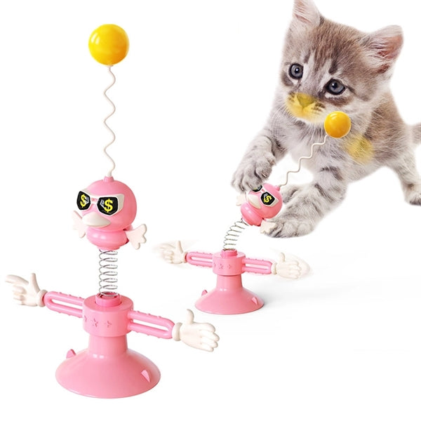 Interactive Cat Training Toy