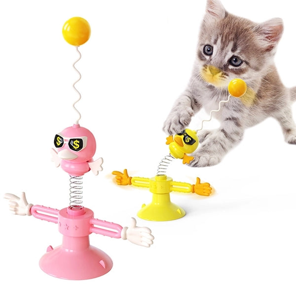Interactive Cat Training Toy