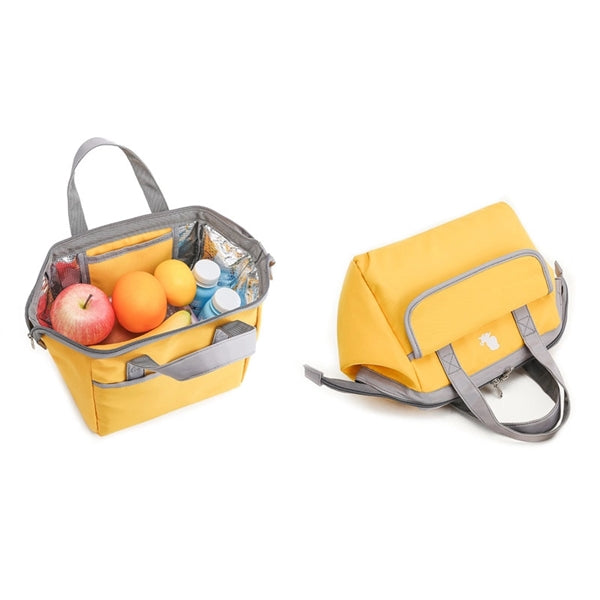 Insulated Box Cooler Lunch tote Bag