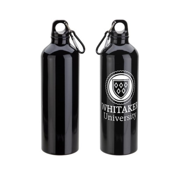 22 Oz. Aluminum Sports Water Bottle w/ Carabiner