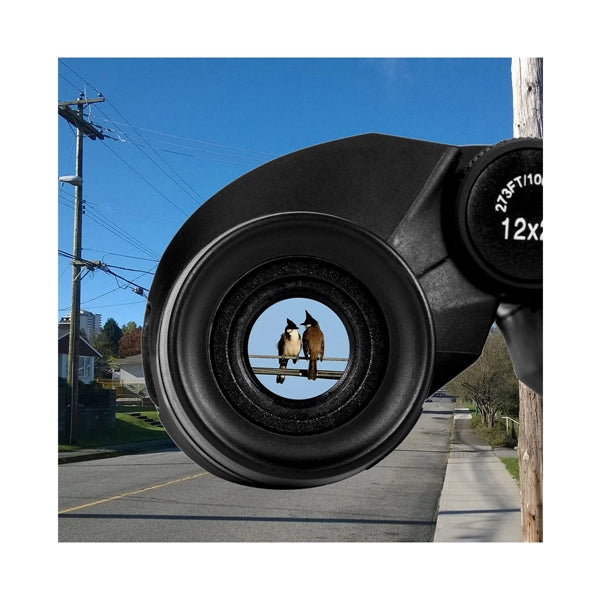 Compact Binocular