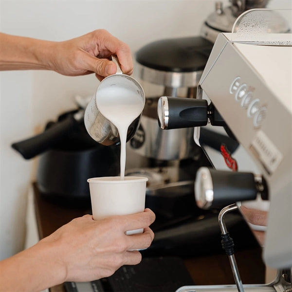 Disposable Paper Drinking Cup 9oz