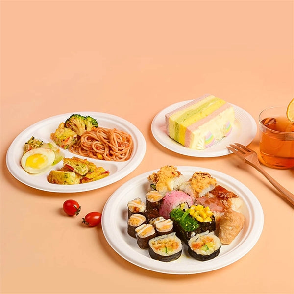 10" Disposable Paper Plates Eco-Friendly