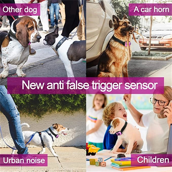 Harmless Dog Anti Bark Collars