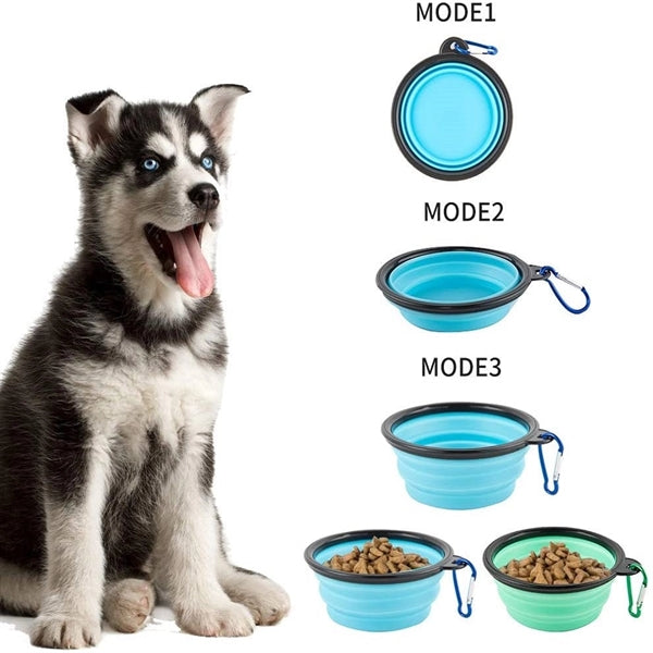 Collapsible Dog Bowl