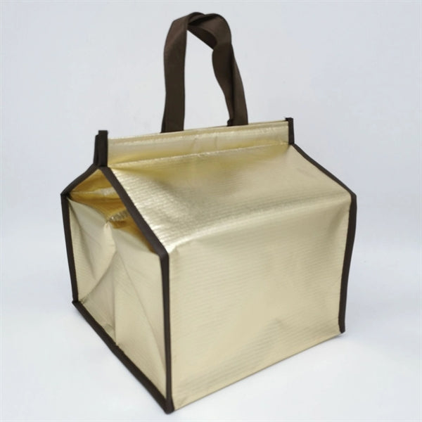 Non-Woven Insulated Food Delivery Bag