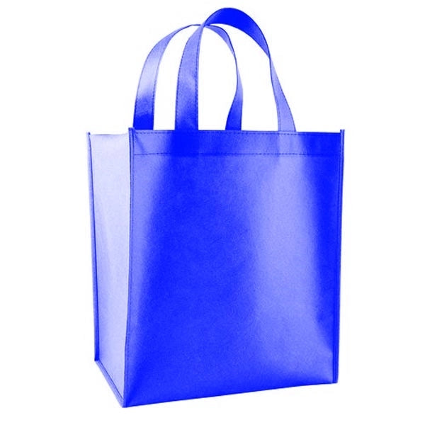 All Purpose Grocery Bag-T-4