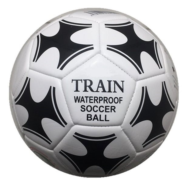 Traditional Soccer Ball