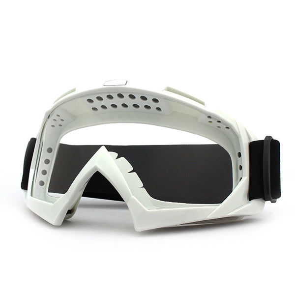 Winter Goggles