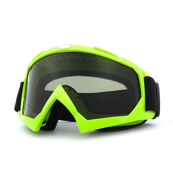 Winter Goggles