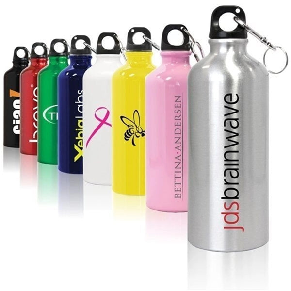 25 Oz Aluminum Sports Bottle With Twist Off Lid & Carabiner