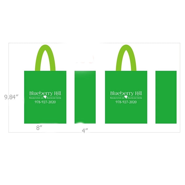 Non-Woven Small Gift Bag