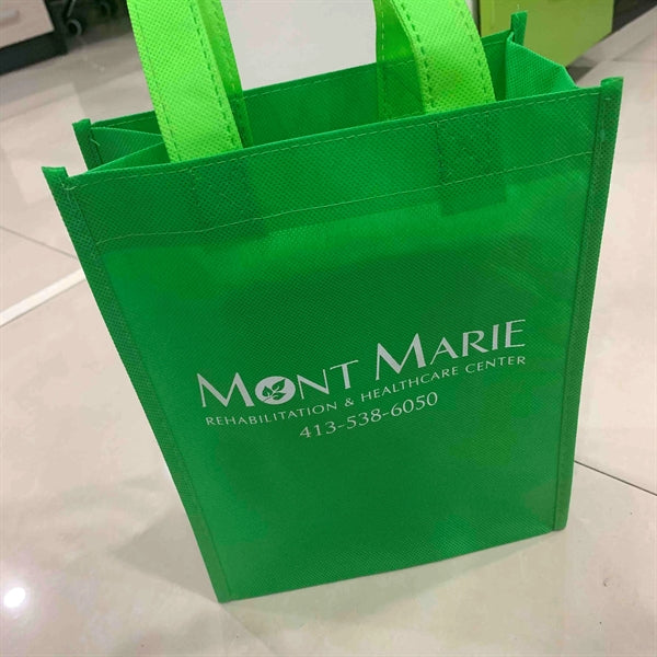 Non-Woven Small Gift Bag